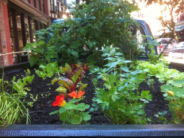 TruckFarmGastown(LG)